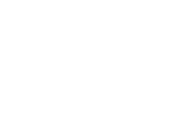 Insyntrix Logo Footer
